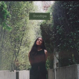 Goodbye